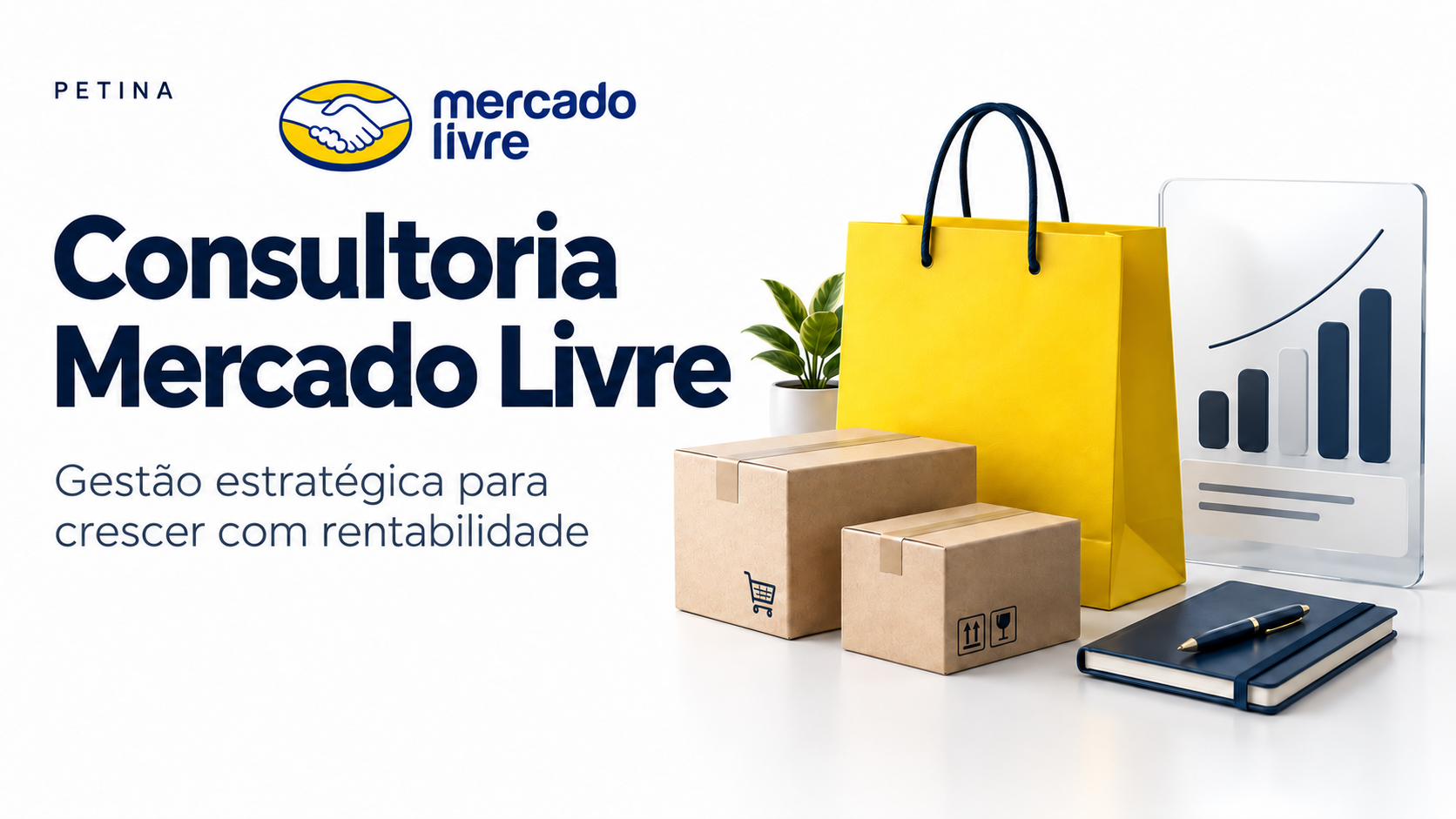 Consultoria Mercado Livre da Petina: gestão estratégica para crescer com rentabilidade, com elementos de comércio, logística e análise de desempenho.