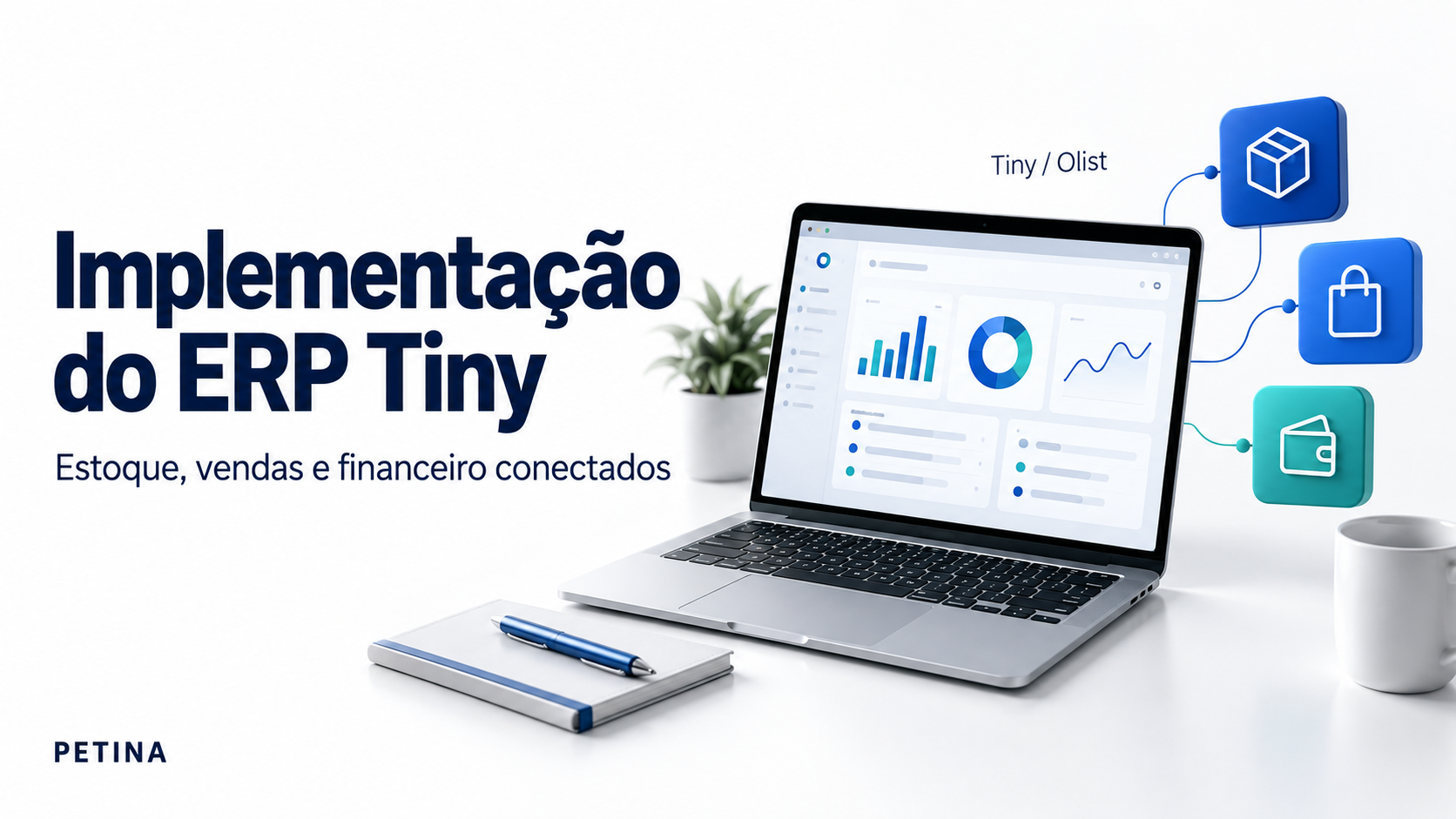 Implementação do ERP Tiny/Olist com estoque, vendas e financeiro conectados — Petina